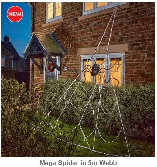 fb 5m spiders webb